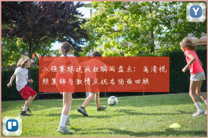 八强赛球迷疯狂瞬间盘点：高清视频集锦与激情庆祝名场面回顾