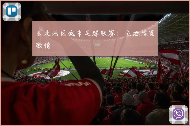 东北地区城市足球联赛：点燃绿茵激情